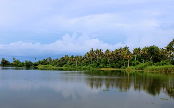Backwater areas in Kerala.